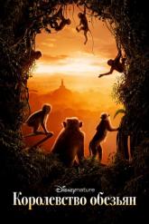 Смотреть онлайн Королевство обезьян (2015)