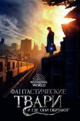 Смотреть онлайн Фантастические твари и где они обитают (2016)