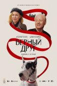 Смотреть онлайн Верный друг (2024)