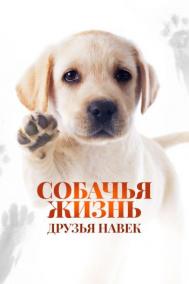 Смотреть онлайн Собачья жизнь: Друзья навек