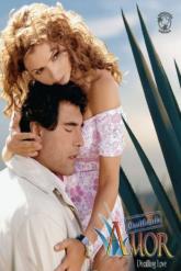 Смотреть онлайн Чистая любовь (2007)
