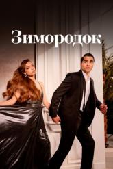 Смотреть онлайн Зимородок (2022)