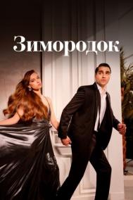 Смотреть онлайн Зимородок
