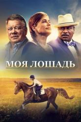 Смотреть онлайн Моя лошадь (2016)