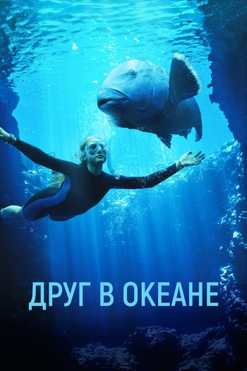Друг в океане смотреть онлайн в HD 1080 720
