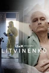 Смотреть онлайн Литвиненко (2022)