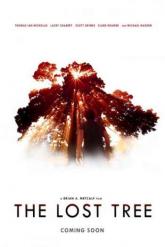 Смотреть онлайн Потерянное дерево (2016)