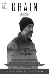Смотреть онлайн Зерно (2017)