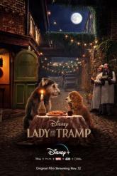 Смотреть онлайн Леди и Бродяга (2019)