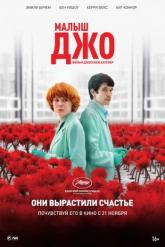 Смотреть онлайн Малыш Джо (2019)