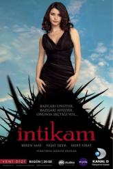 Смотреть онлайн Месть (2013)