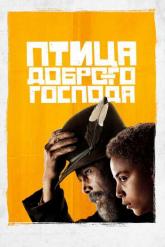 Смотреть онлайн Птица доброго господа (2020)