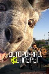 Смотреть онлайн Осторожно, Кенгуру! (2020)