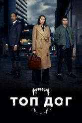 Смотреть онлайн Топ дог (2020)