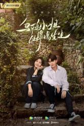 Смотреть онлайн Мисс Ворона и мистер Ящерица (2021)