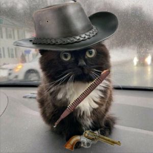 Аватар пользователя